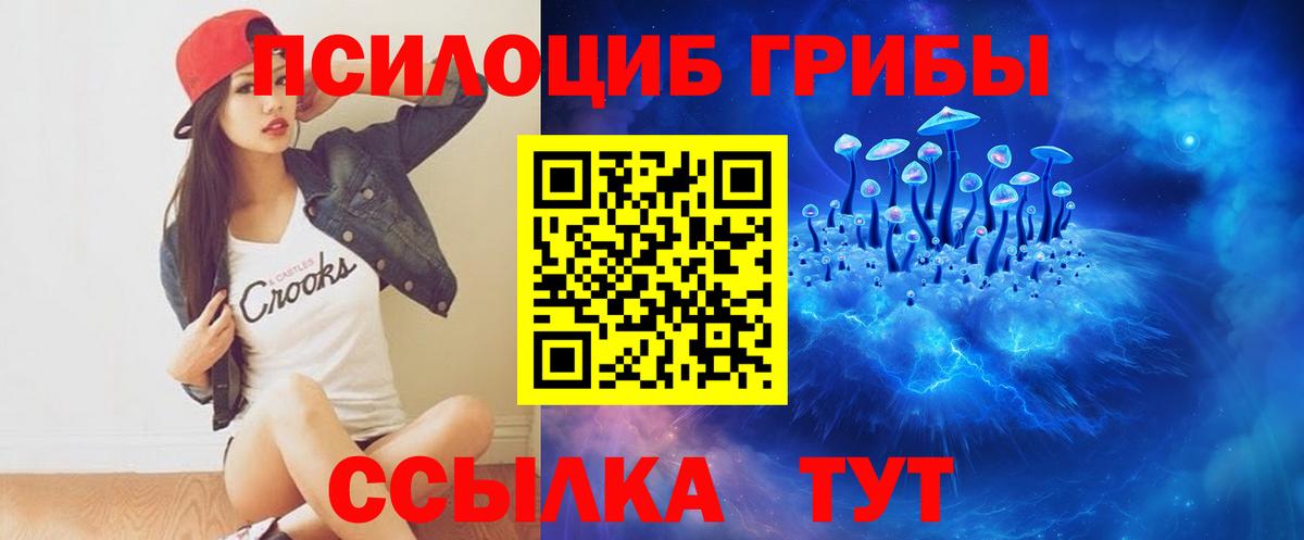 Мичуринск  Псилоцибиновые грибы ЛСД  Вход с VPN 